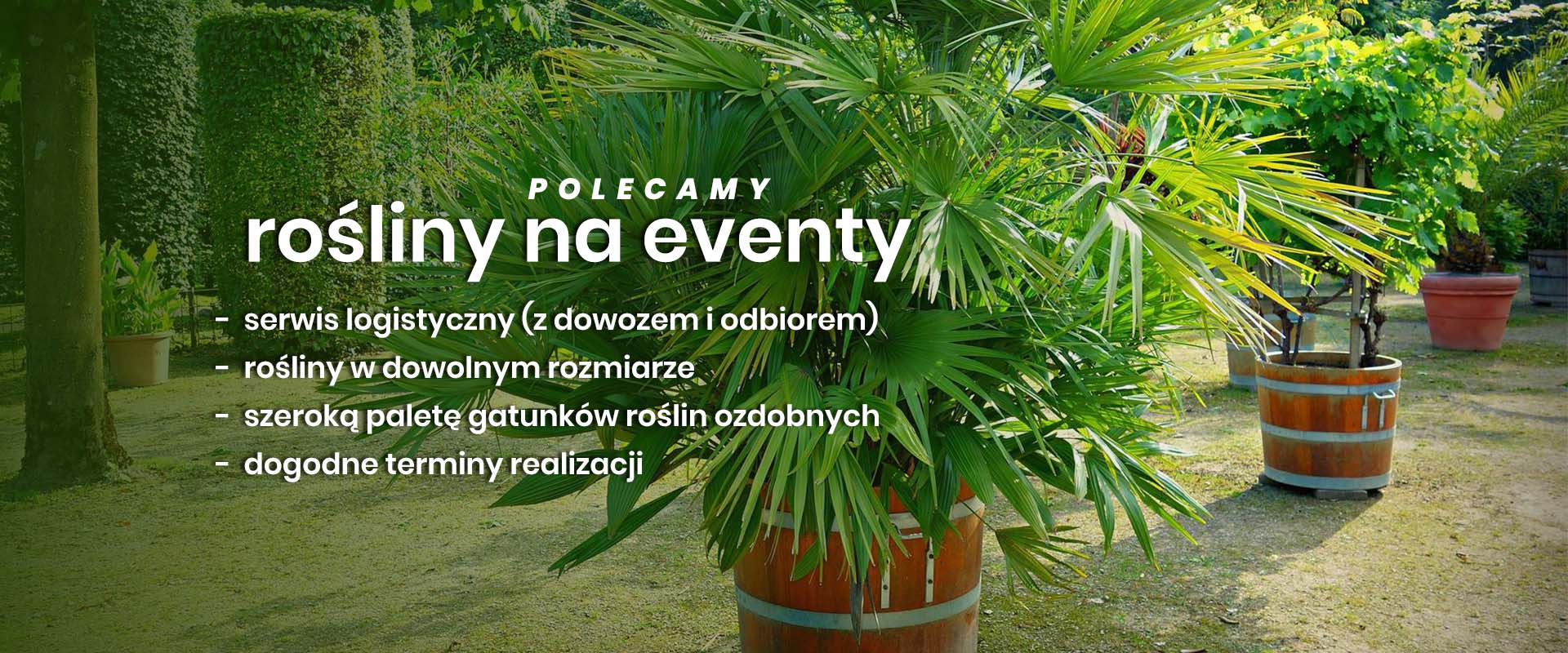 Rośliny ozdobne w donicach